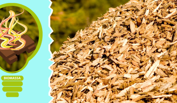 Energia da biomasse: aspetti tecnico-economici, normativi, ambientali